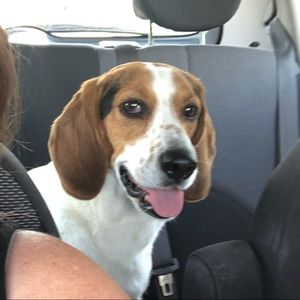 Meet your Posher, Shawn